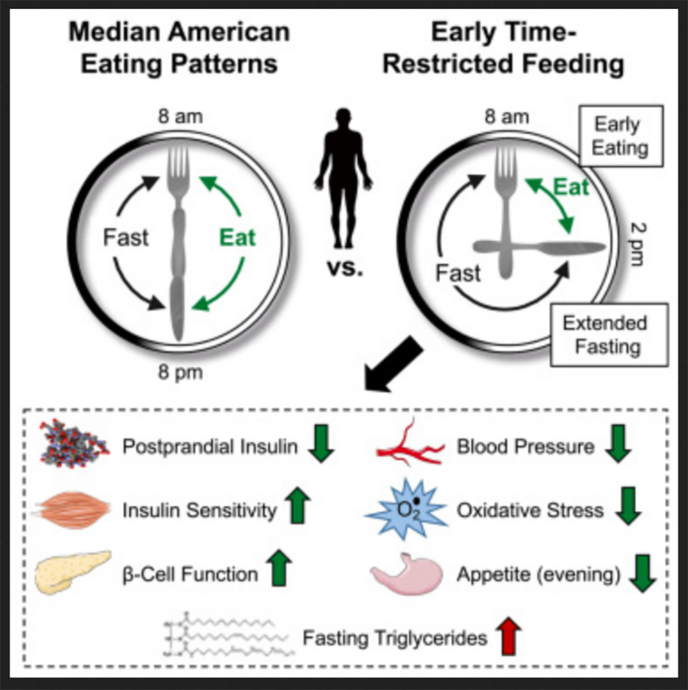 graphic showing the benefits of IF