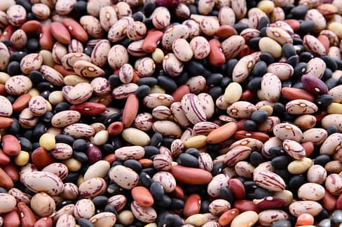 A variety of colorful legumes. These provide a lot of fiber and protein and are an important part of a healthy South Asian diet